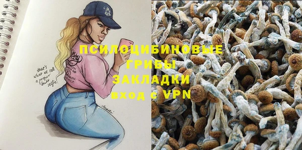 гидропоника Армянск