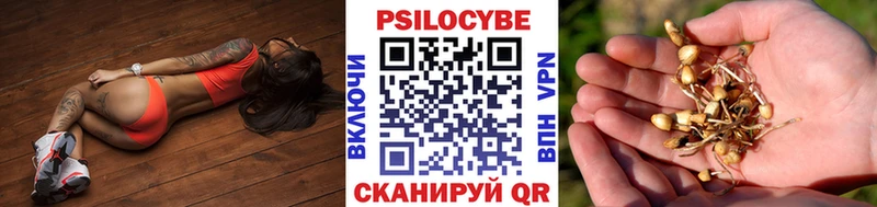 Галлюциногенные грибы Magic Shrooms  Перевоз 